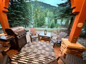 Backyard image 2