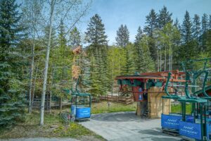 Backyard image 10