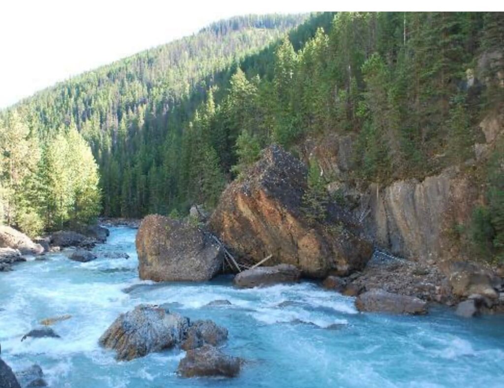 c01d528d-0df7-4ed4-8df3-bd54d4cb4970 Picturesque Toby Creek
