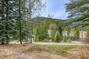 Backyard image 8
